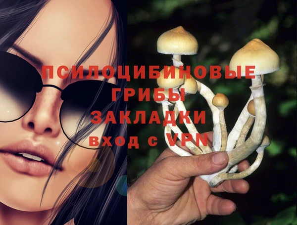 ПСИЛОЦИБИНОВЫЕ ГРИБЫ Каменск-Шахтинский