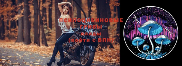 амфетамин Каменногорск